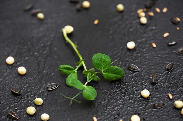 How Are Microgrids Contributing to Sustainable Energy Access in Remote Areas?